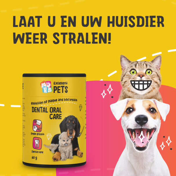 Beeld