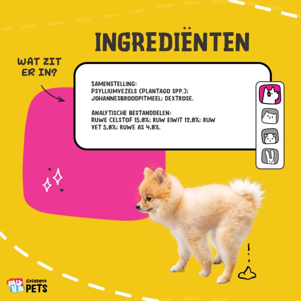 Beeld