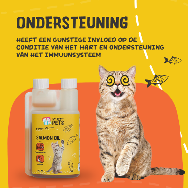 Beeld