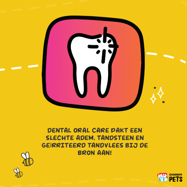 Beeld