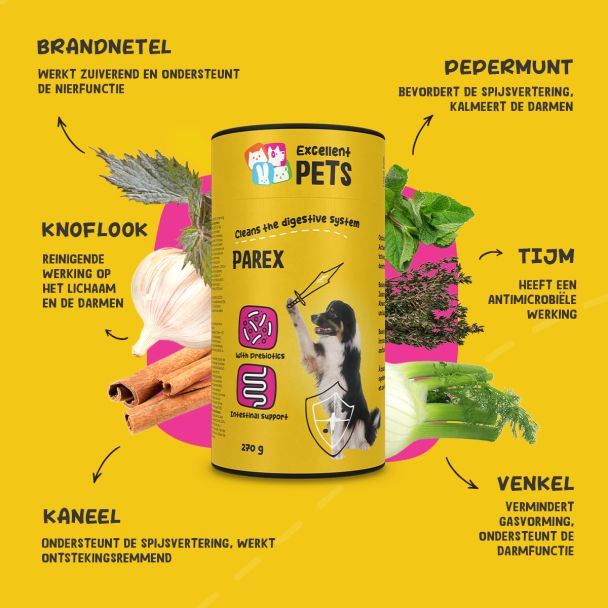 Beeld
