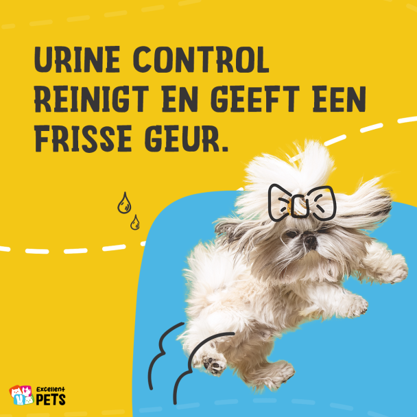 Beeld