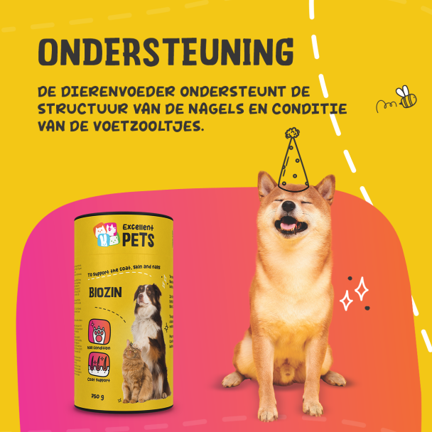 Beeld