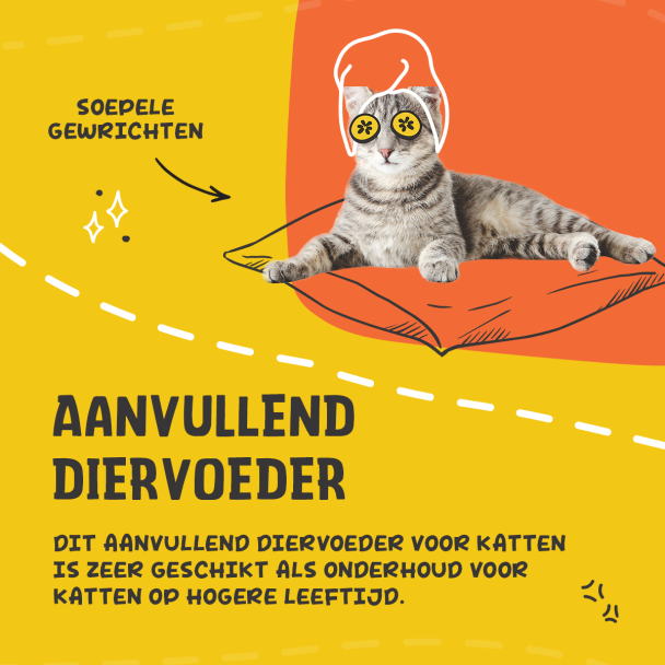 Beeld