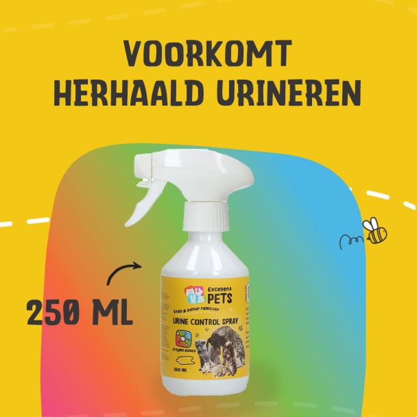Beeld