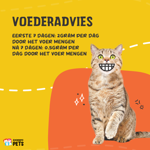 Beeld