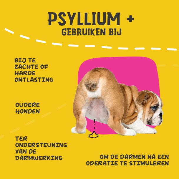 Beeld