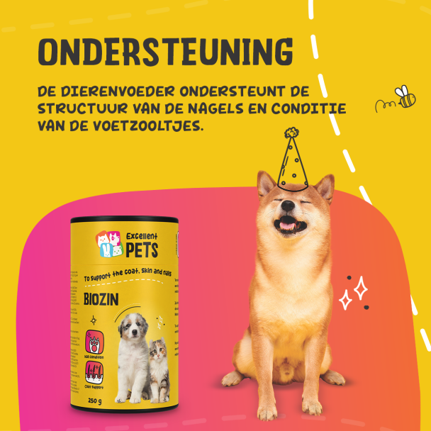 Beeld