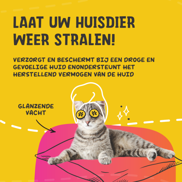 Beeld