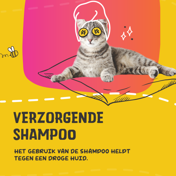 Beeld