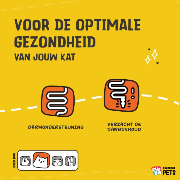 Beeld