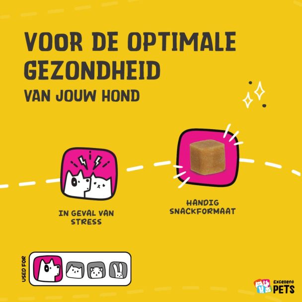 Beeld