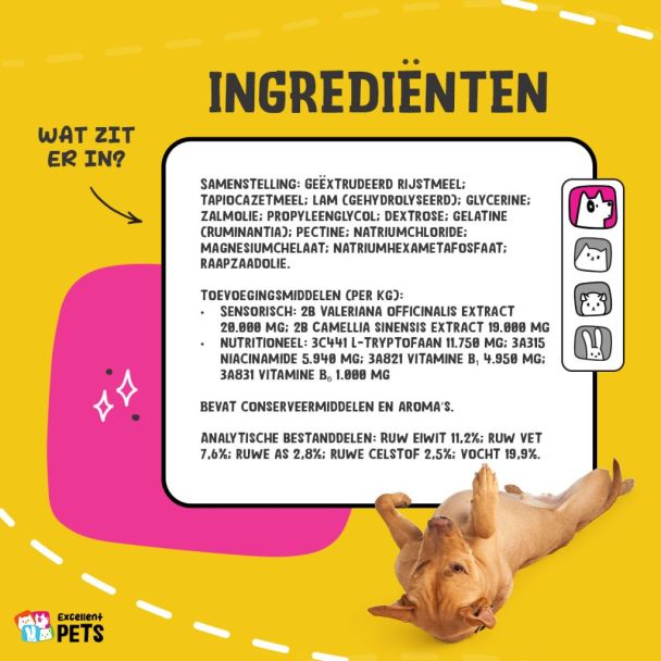 Beeld