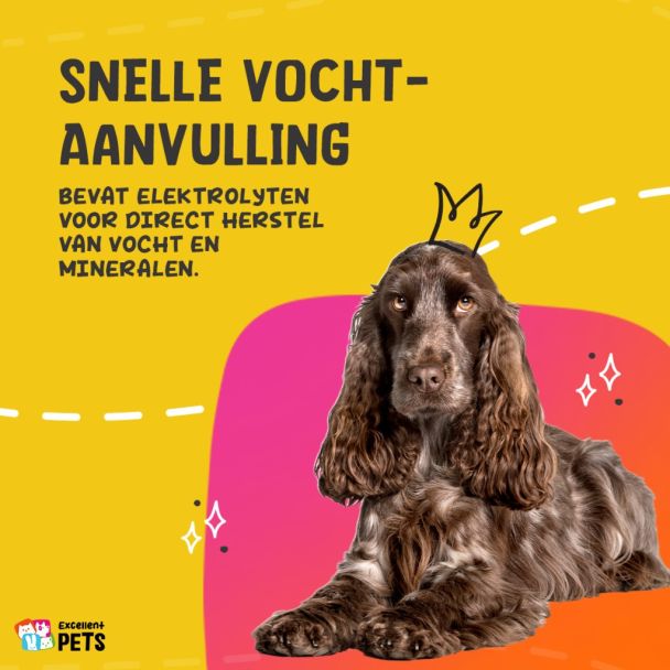 Beeld