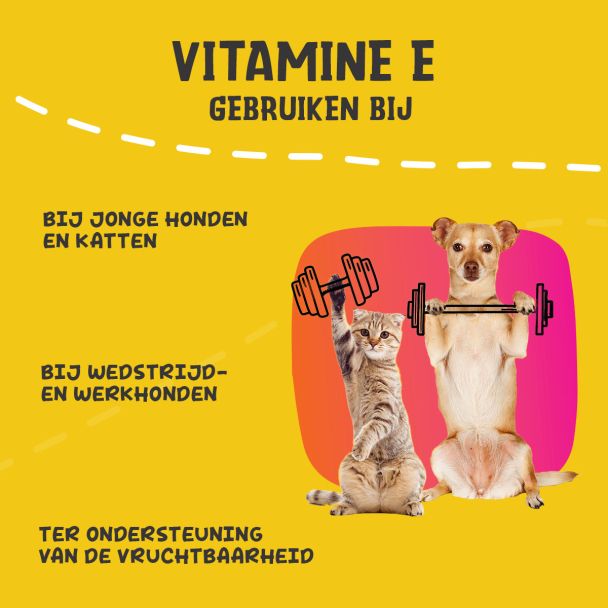 Beeld