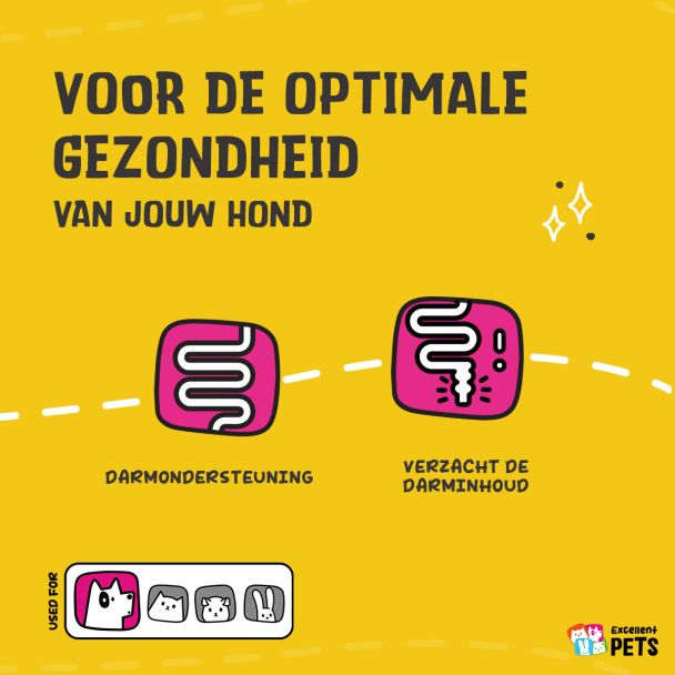 Beeld