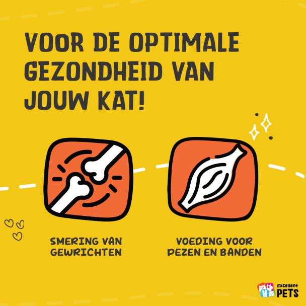 Beeld
