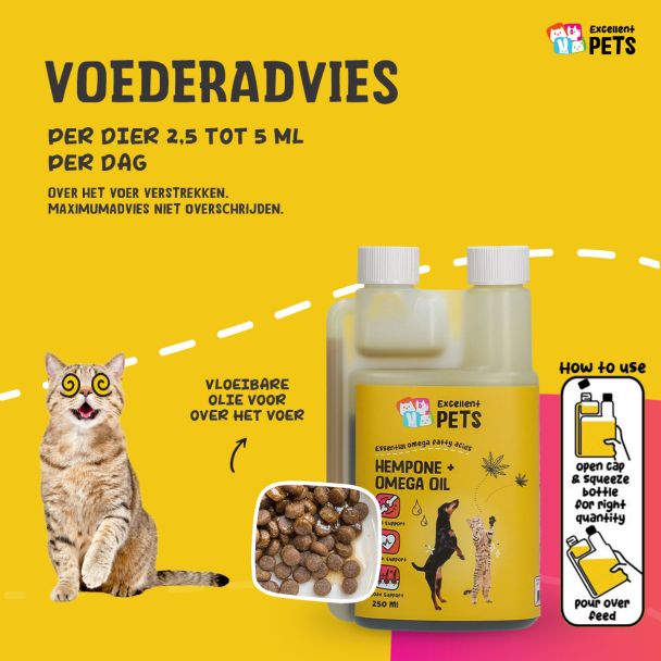 Beeld