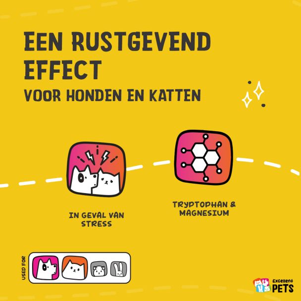 Beeld