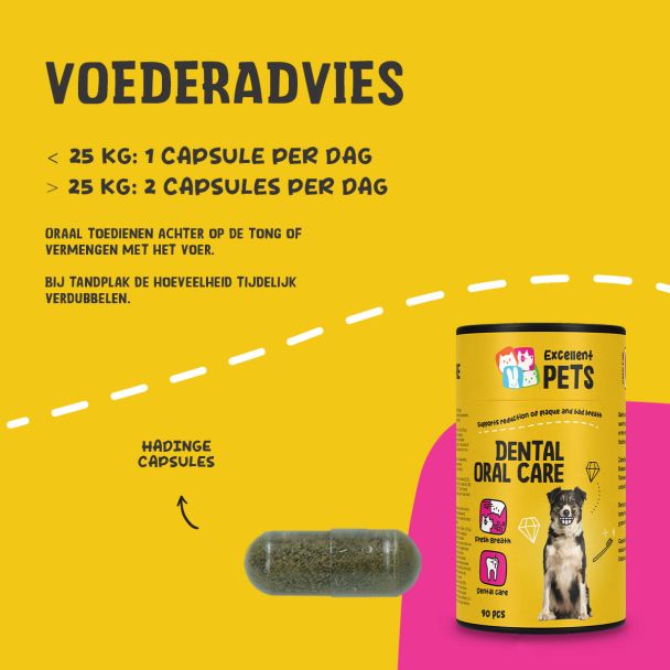 Beeld