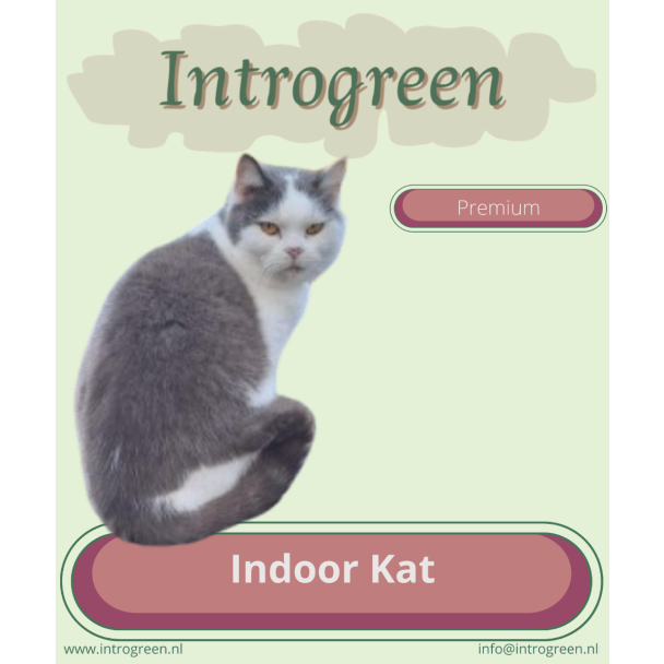 Beeld