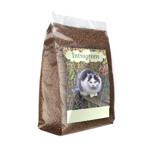 Premium Kat Senior: Hoogwaardige Voeding voor Oudere Katten vanaf 7 Jaar 2 Kg