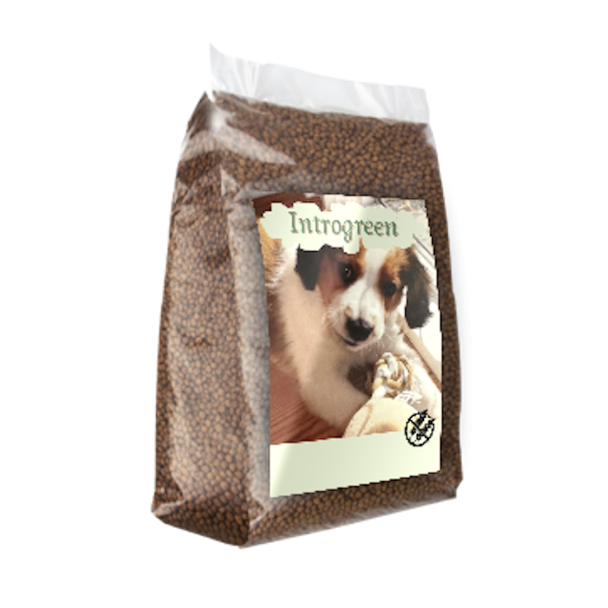 Graanvrij Puppy/Junior Kip & Aardappel - Super Premium - Voeding voor een Gezonde Start 15 kg