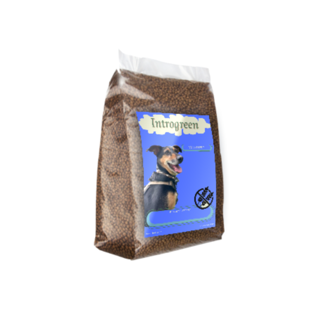 Senior/Light Graanvrije Voeding met Kip & Aardappel voor Oudere en Honden en honden met overgewicht