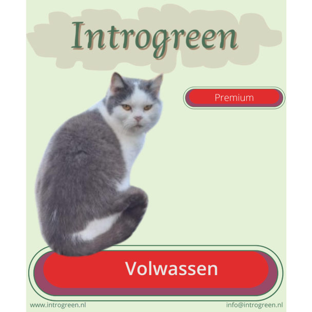 Beeld