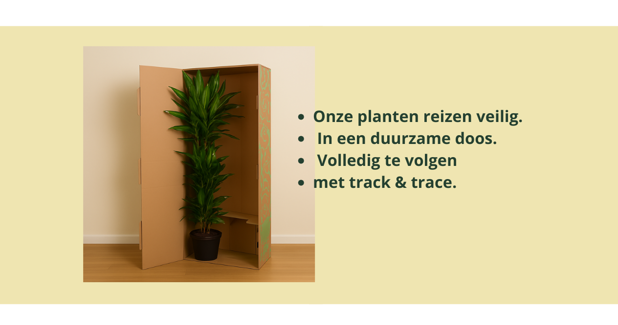 Hoe verzenden wij planten