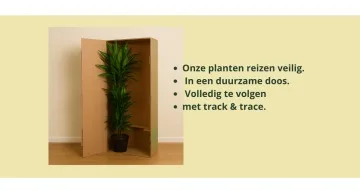 Hoe verzenden wij planten